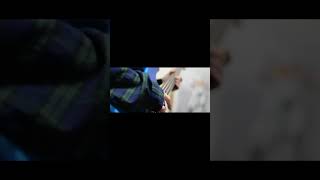 【#盗作】【#ヨルシカ】【#shorts】【#永久機関】  #盗作 #ヨルシカ  プロフよりYouTube fullへ飛べます！ #初音ミク #anime  #hatsunemiku