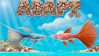 A.D.A.P.T. - Kickstarter Preview