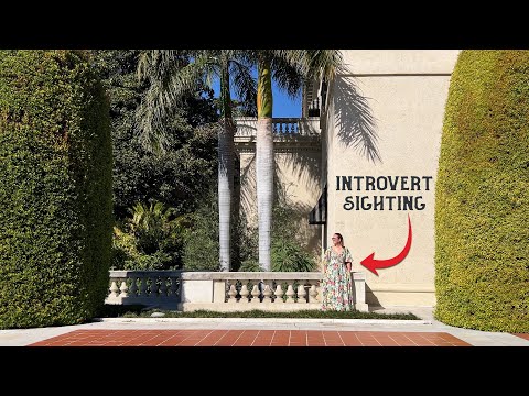 I Made This Video So I'd Leave the House