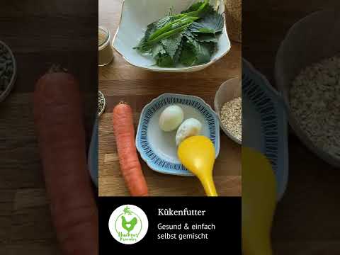 Kükenfutter selbermachen - Tag 1 bis Woche 8