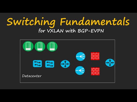 Switching Fundamentals | VXLAN with BGP EVPN Course Part-1