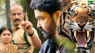 मैं छुपता नहीं सिर्फ हमला करता हु - Mohanlal, Kamalinee Mukherjee - Sher Ka Shikaar