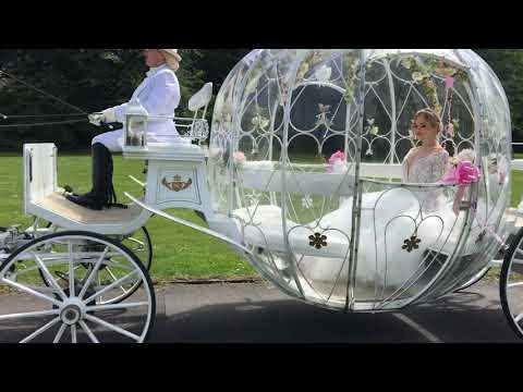 Steve Lee Photoworks video.