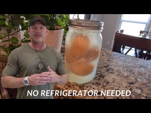 Isinglass | The Forgotten Way to Preserve Eggs