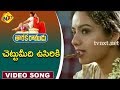 Chettumeedi Vusiriki Video Song Taraka Ramudu Telugu Movie Songs Srikanth Soundarya Vega Music