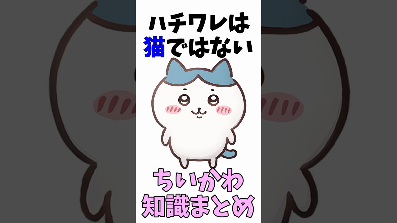 【ちいかわ】ハチワレは猫ではない　ちいかわ知識まとめ　 #ちいかわ  #アニメ  #ちいかわといっしょ #ハチワレ #うさぎ
