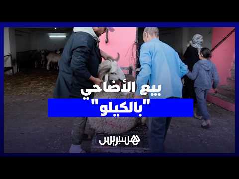 بيع الأضاحي “بالكيلو” 