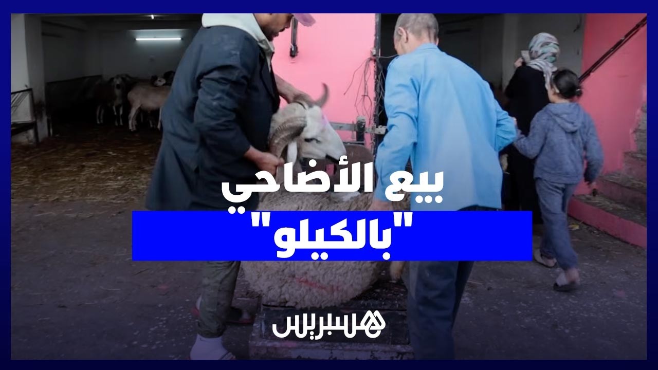 مع اقتراب عيد الأضحى.. البيع "بالكيلو" يغيّر عادات شراء الأضاحي thumbnail