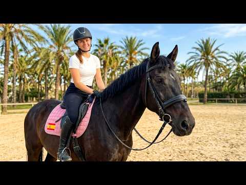 Millaista on asua Espanjassa? 🇪🇸