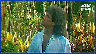 Roberto Carlos - Tô Chutando Lata - Especial 1987 - 4K ULTRA HD