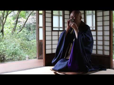 Bruno Taut - ein zeitgenössisches Portrait des Senshintei