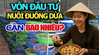 How Much Investment Capital Is Needed To Raise Coconut Worms? It Only Takes 30 Days To Recover Ca...