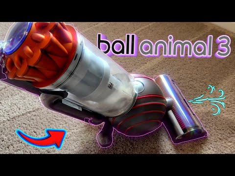 Dyson Ball Animal 3 Extra Review | Take Control of Pet Hair!