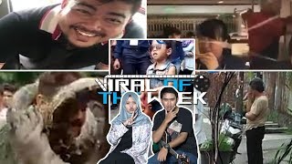 VOTW: Bocah Hafal Nama Menteri hingga Penjaga Hutan Nyaris Tewas Dililit Ular saat Selfie