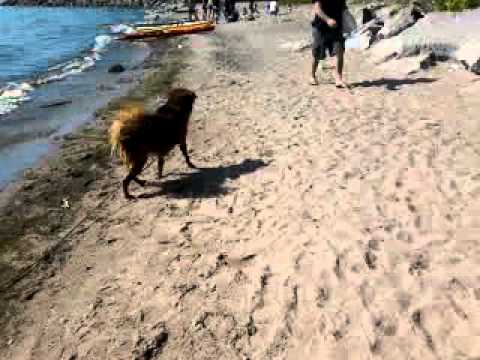 Keesha day at beach pt 1