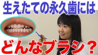 生え替わり期の歯みがきはワンタフトブラシがオススメ？