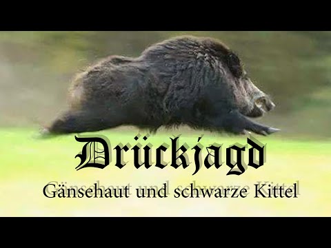 Drückjagd - Gänsehaut und schwarze Kittel