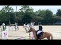 Top poney d&rsquo;avenir 