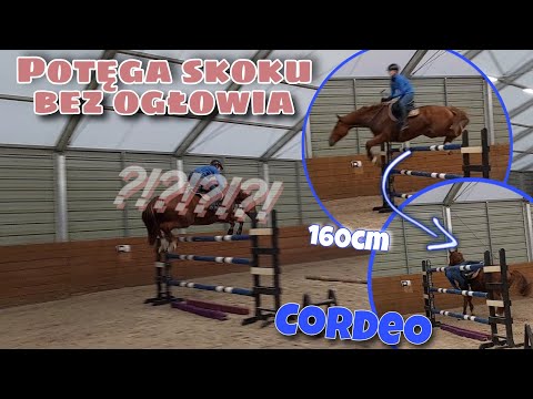 Nowy rekord bez ogłowia! | Skoki na cordeo - POTĘGA SKOKU