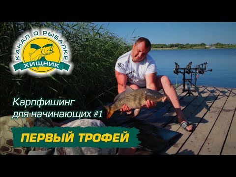 Бастаушыларға арналған карпфишинг