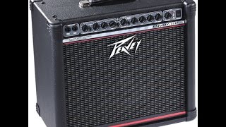 Video thumbnail for Peavey Envoy 110  Guitar Combo 40 watt Amp by Ed Dana