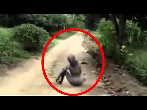 REAL HYBRID ALIEN CREATURES CAUGHT ON TAPE 2017 (VERY SCARY)