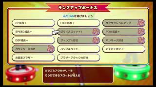 久しぶりのマリルイ | マリオ＆ルイージRPGブラザーシップ