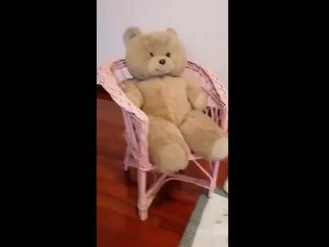 Uovo, riso e fantasia?