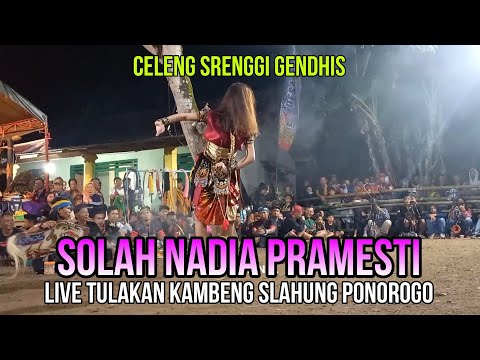 SOLAH NADIA PRAMESTI FEAT SUTO MENGGOLO #sutomenggolo #nadiapramesti #jaranan #celengsrenggi