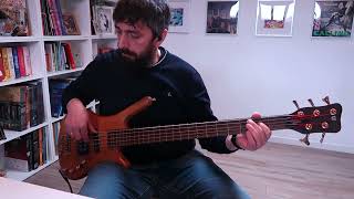 Video thumbnail for Incubus - New Skin Bass Cover by Raphael Ferreira