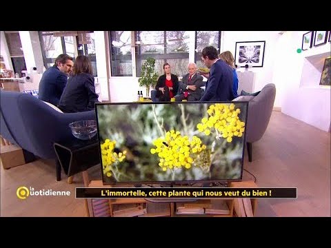 parazita gyógymód a legjobb népi gyógyszerek a máj tisztítására a parazitáktól