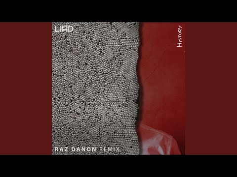 History (Raz Danon Remix)