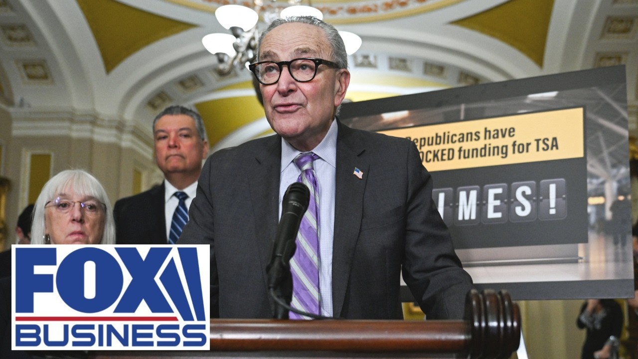 Dems are ‘using the American people as PAWNS’: GOP senator on DHS funding battle