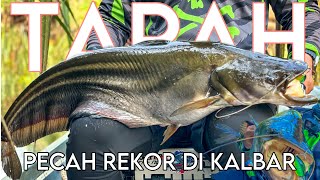 Download lagu My record for fishing for tapah fish in West Kalimantan part 2 @kualantfishing mp3 Download lagu My record for fishing for tapah fish in West Kalimantan part 2 @kualantfishing mp3