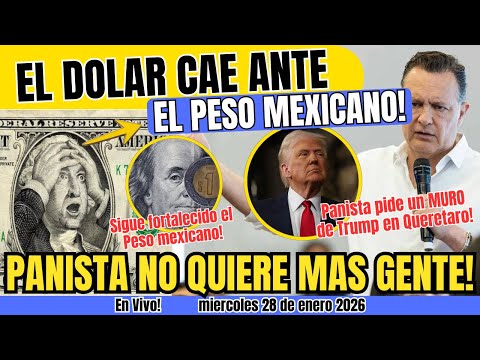 El Dólar CAE y a Trump NO le Importa! México gana
