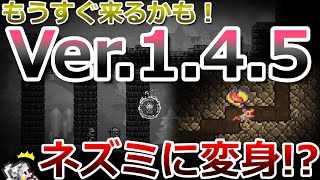 【テラリア】もうすぐ来るかも！最新アップデート情報Ver.1.4.5について、現段階で分かることまとめました！
