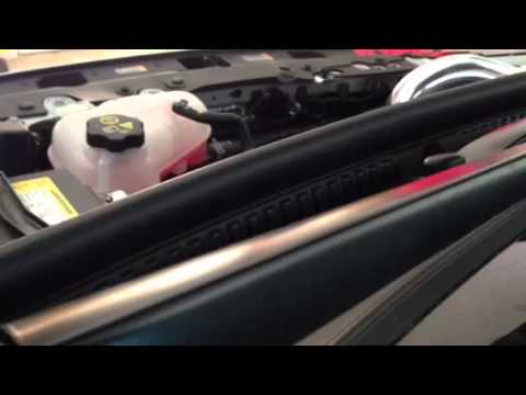 Forge Motorsports 1.4T Atmospheric Bypass Valve- Bad News Racing