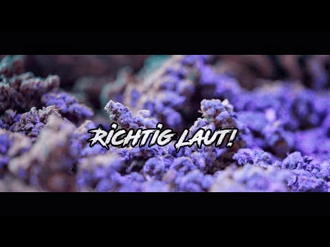 Gera Berlin & Karmo Kaputto feat. Bangs - Richtig Laut (prod von Kotico & Sansimo) 4K Video