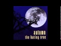 Autumn - A Waiting Time