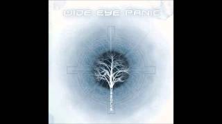 WIDE EYE PANIC - Dissolve - Album Sampler