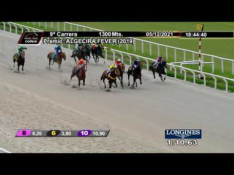 211205 c09 SABIDAO (BRZ)