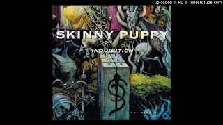 Skinny Puppy - Inquisition [Extended Mix]