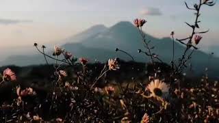 Download lagu Kisah cinta pendaki gunung! mp3