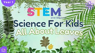 All About Leaves | Science For Kids | STEM Home Learning gameplay video by carnett, 5:56 duration