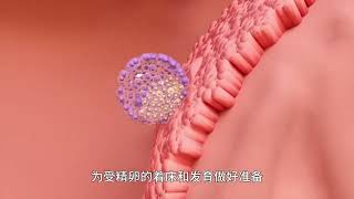 女性生理週期:揭開你所不知道的月經真相 #科普 #冷知識 #