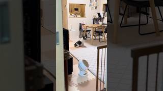 みんなが遅いので催促するフレブル