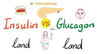 Insulin world vs. Glucagon world - A Tale of Two Hormones - Feeding vs Fasting - Endocrinology