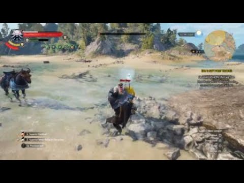 The Witcher 3:killing the ofieri mage.....one on one
