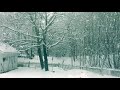 Colie Brice - “Love Is So Blind”