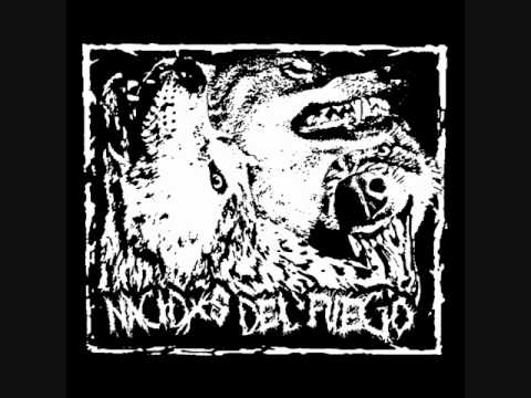 NACIDXS DEL FUEGO - caera la noche